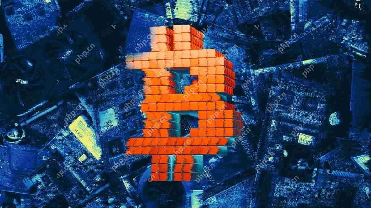 杰克·马拉尔（Jack Mallers）加入了新加密风险二十一首首都的首席执行官